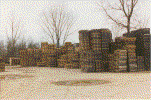 Lansing Photo.gif (244263 bytes)