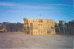 Romulus Photo.gif (257972 bytes)