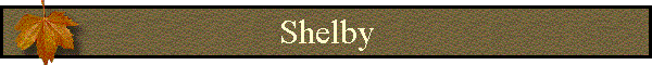 Shelby